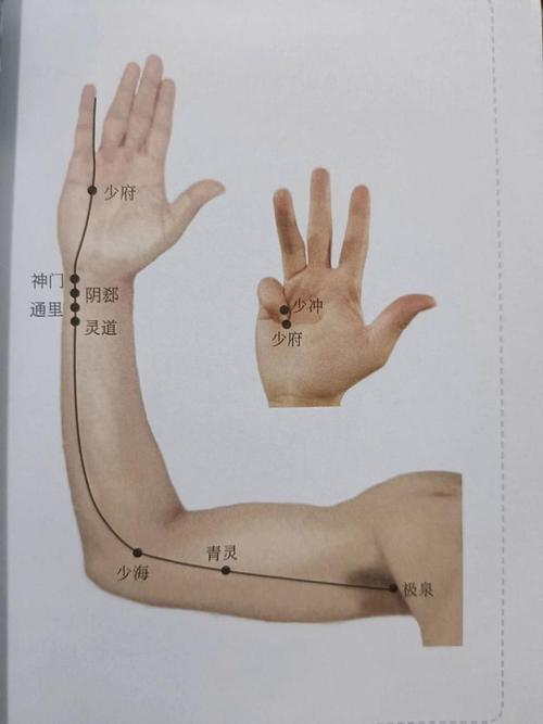 养颜 穴位 心经