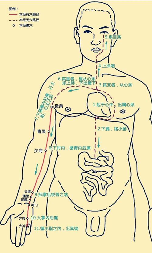 养颜 穴位 心经