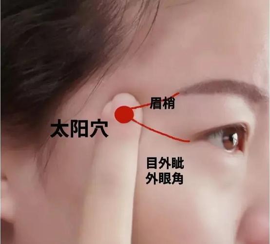 头部穴位sunjiao