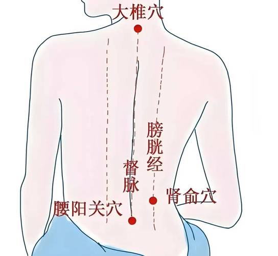 脊椎穴位及膀胱经穴位图