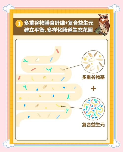 肠菌群紊乱怎样饮食调理好