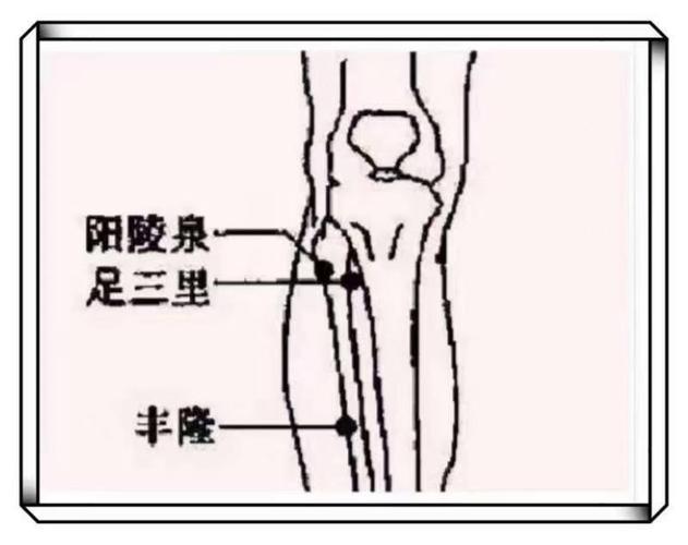 人身体穴位图阳陵穴穴位