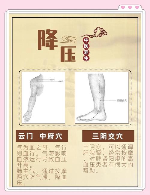 高血压穴位埋线穴位有那