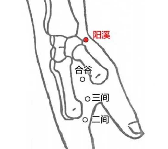 高血压穴位埋线穴位有那