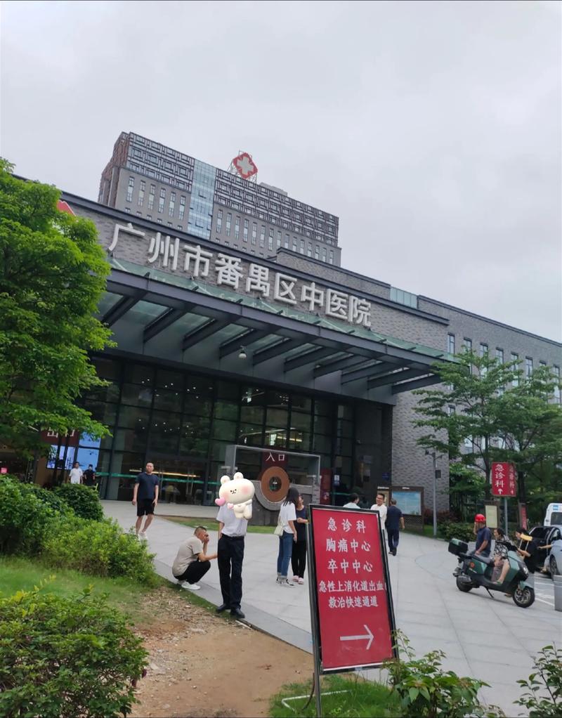 广州市番禺中医院官网