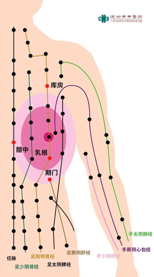 催乳穴位最主要穴位图片
