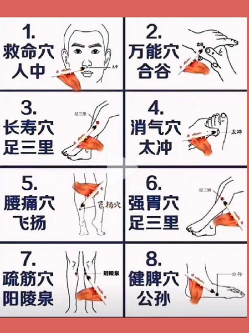 c常见病穴位穴位按摩图