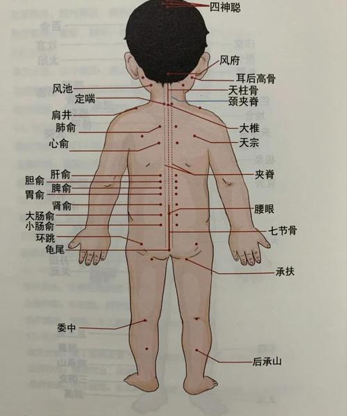 c常见病穴位穴位按摩图