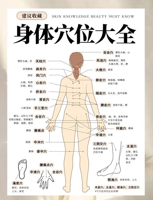 c常见病穴位穴位按摩图