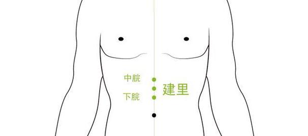 建里穴位两旁是什么穴位