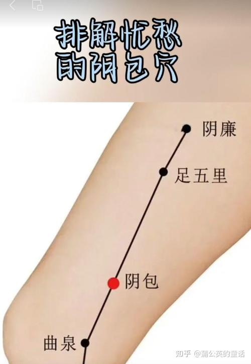 建里穴位两旁是什么穴位