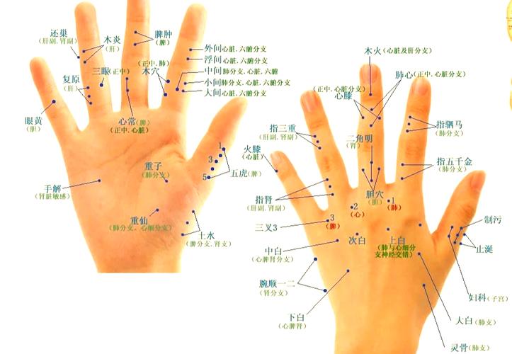 打针到穴位打那几个穴位