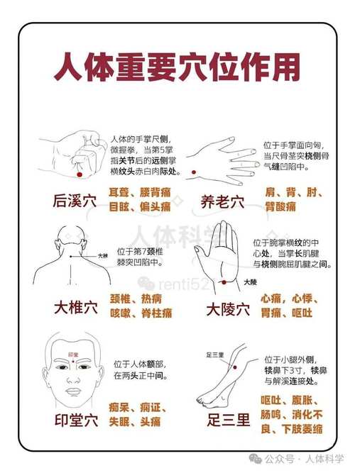 打针到穴位打那几个穴位