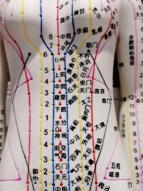 打针到穴位打那几个穴位