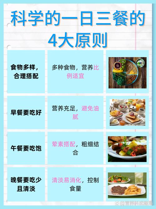 简述合理饮食与健康的关系
