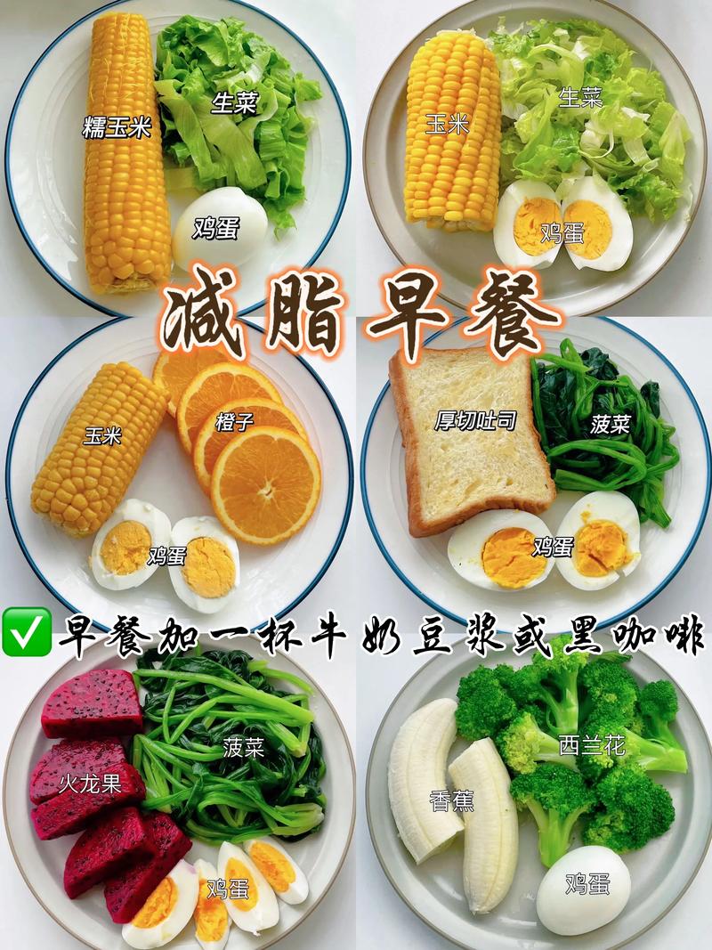 怎样控制饮食能有效的减肥