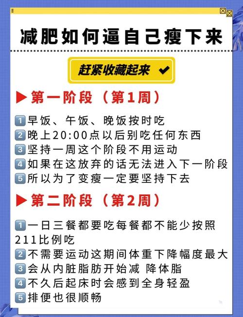怎样控制饮食能有效的减肥