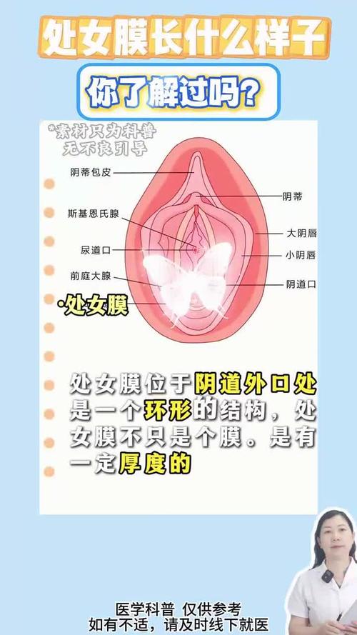 女中医家庭式保健前腺
