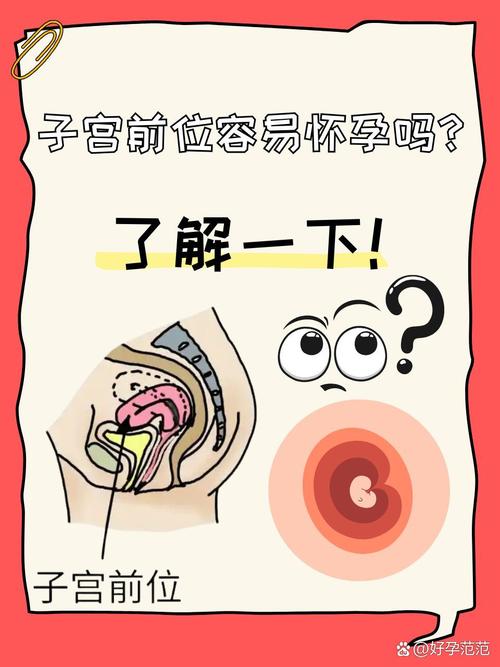 女中医家庭式保健前腺