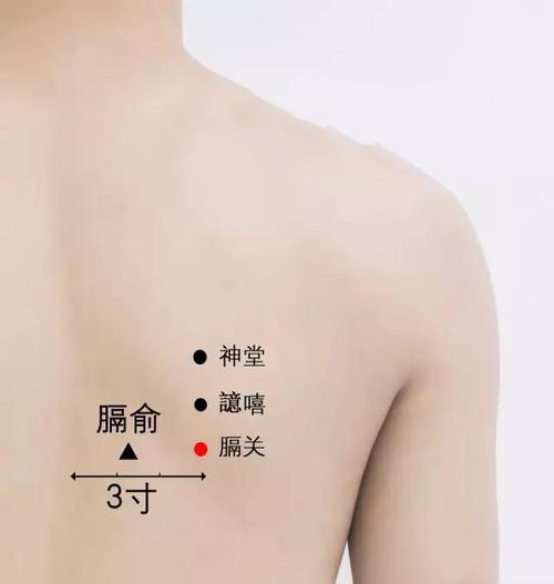 隔关穴位魂门穴位管什么