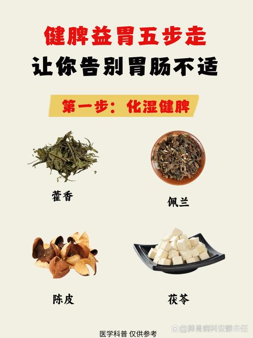 胃肠功能紊乱怎么调理饮食