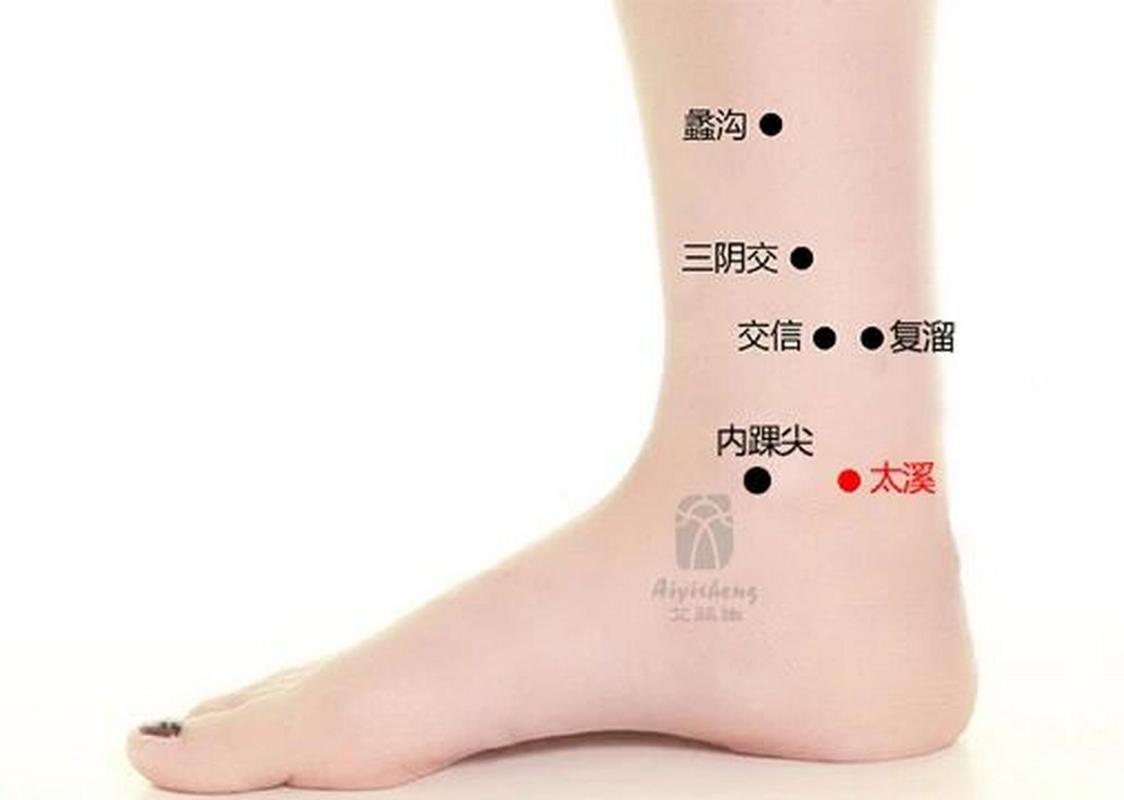 人体的穴位图太溪穴位图