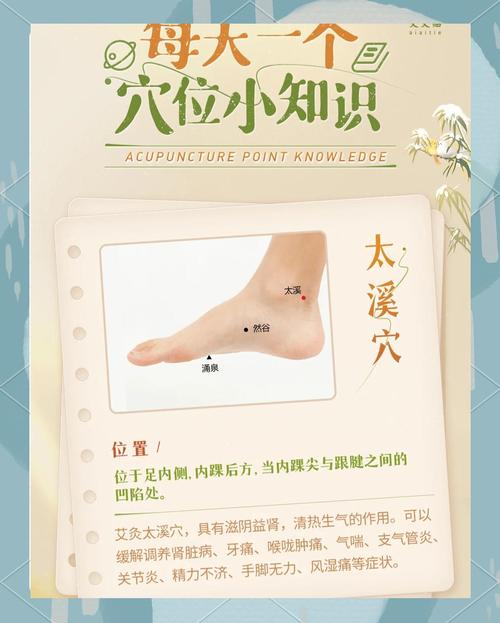 人体的穴位图太溪穴位图