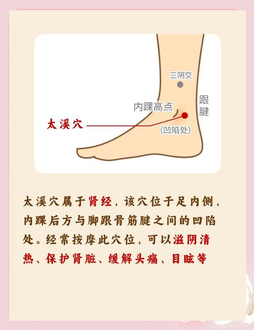 人体的穴位图太溪穴位图
