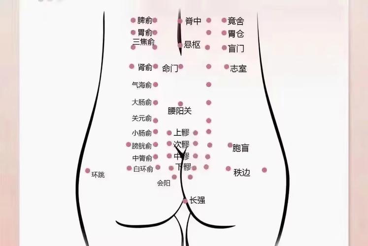 中医穴位中有髎字的穴位