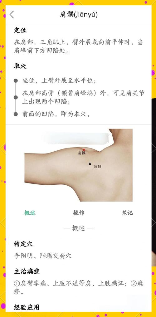 中医穴位中有髎字的穴位