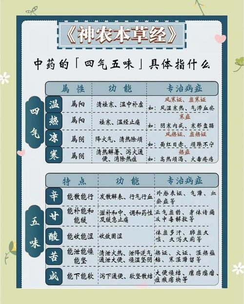 中医五味指的是哪五味