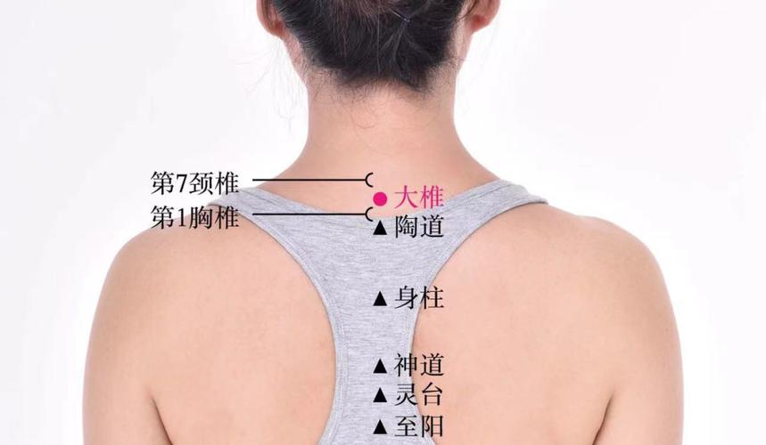大椎下的穴位是什么穴位