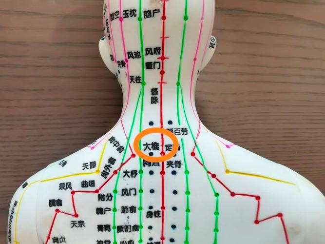 大椎下的穴位是什么穴位