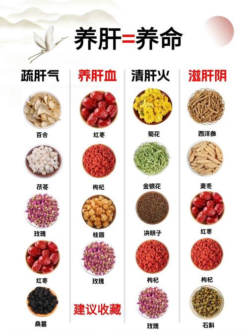 怎么养肝护肝的方法和饮食