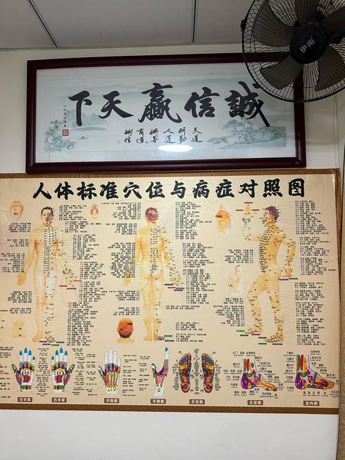 府舍穴位图全身穴位图谱