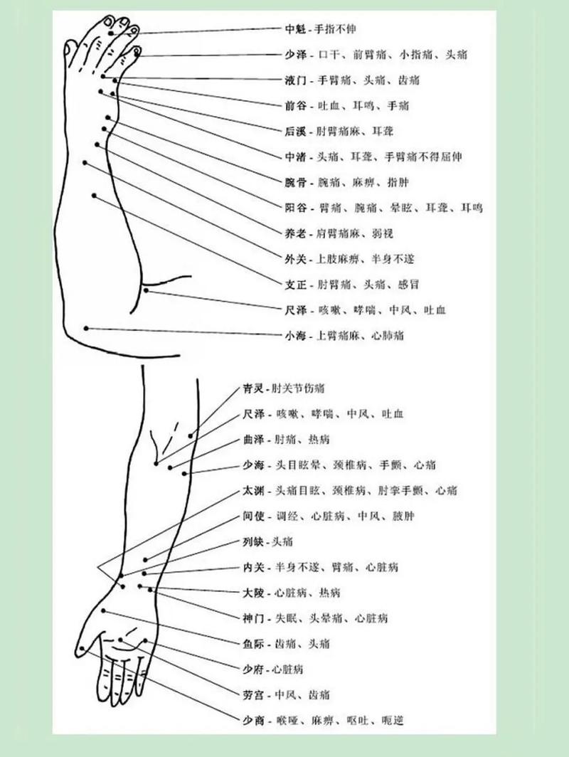 人体穴位图解与穴位疗法