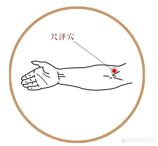 相通心肺穴位极泉穴位置