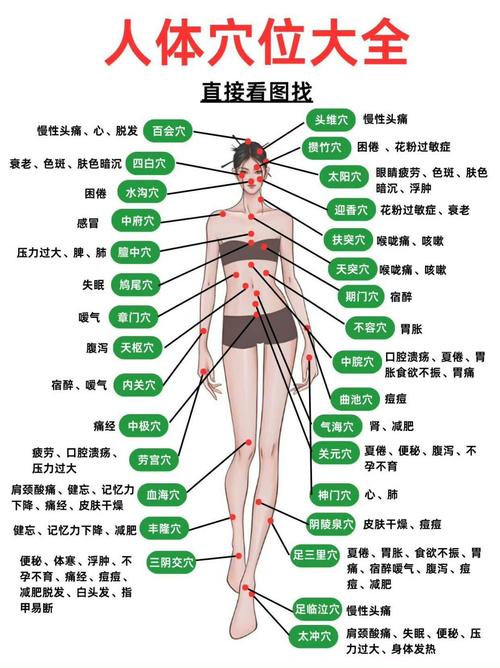 穴位查找-穴位大全图片
