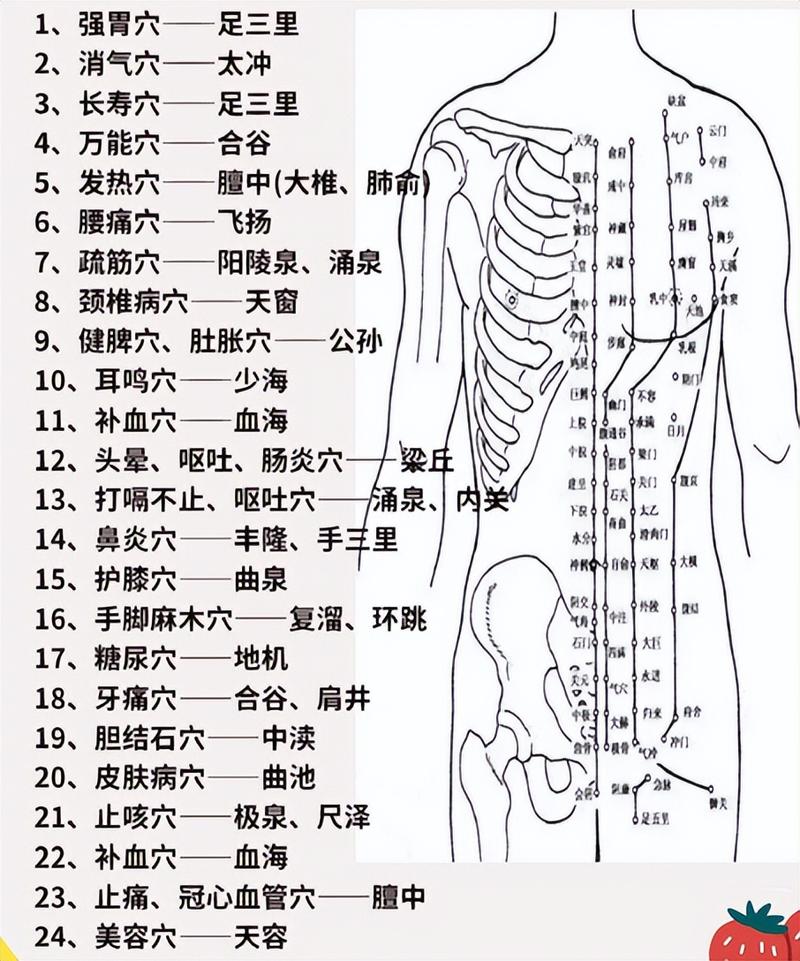 人体 穴位图 穴位名称