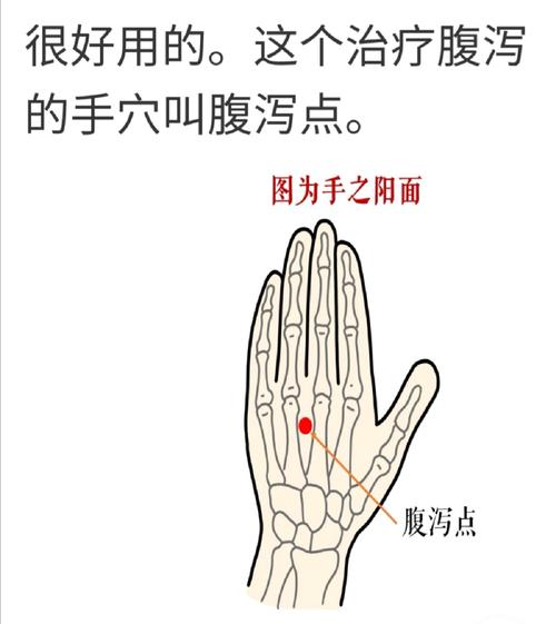 治疗十二指肠溃疡的穴位