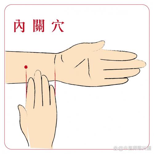 治疗十二指肠溃疡的穴位