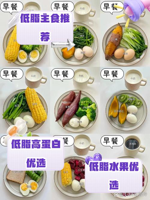 清淡饮食低脂饮食是什么