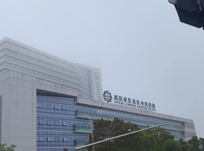 江夏纸坊中医院怎么样