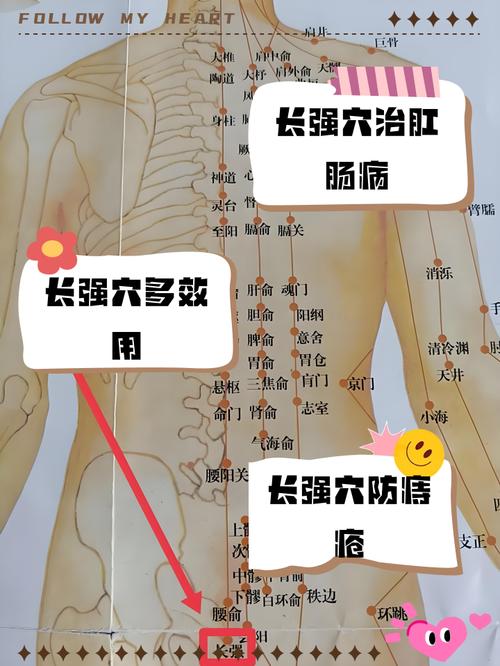 提高性能力的穴位有哪些