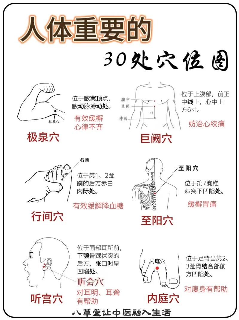 提高性能力的穴位有哪些