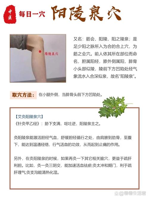 坐骨神经痛艾灸什么穴位