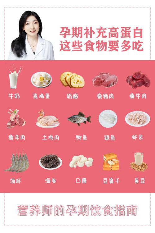 高蛋白饮食属于什么饮食