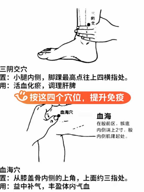 增强性能力按摩那些穴位