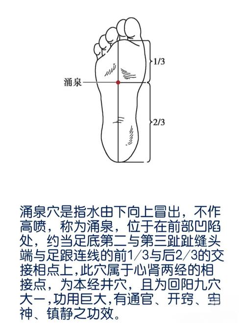 涌泉穴位于人体什么地方
