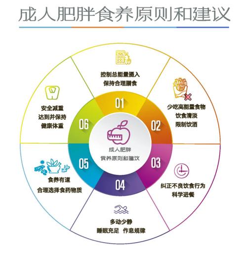肥胖饮食跟健康饮食差别